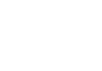 The Night Flight Orchestra Logo