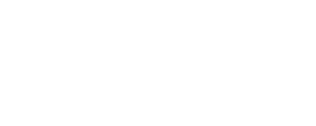 Wilderun Logo