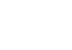 The Night Flight Orchestra Logo