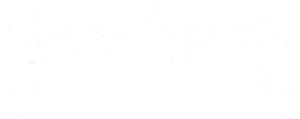 Sonata Arctica Logo