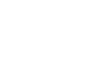 Alterium Logo